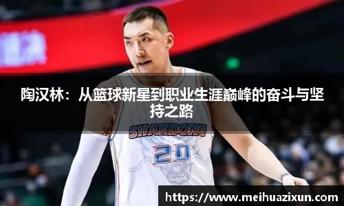 陶汉林：从篮球新星到职业生涯巅峰的奋斗与坚持之路